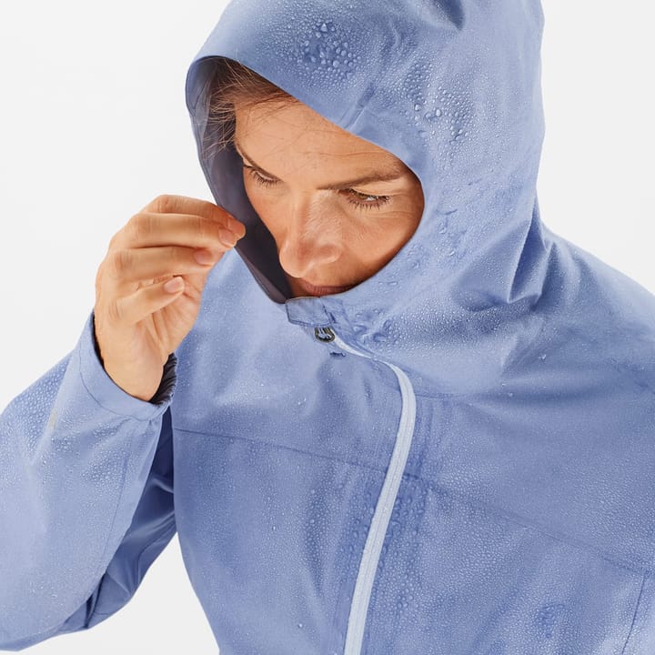 Salomon Outline Gtx® 2.5l Jkt W English Manor Salomon