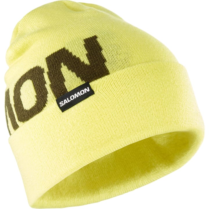 Salomon Hermitage Beanie Charlock/ Salomon