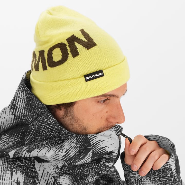 Salomon Hermitage Beanie Charlock/ Salomon