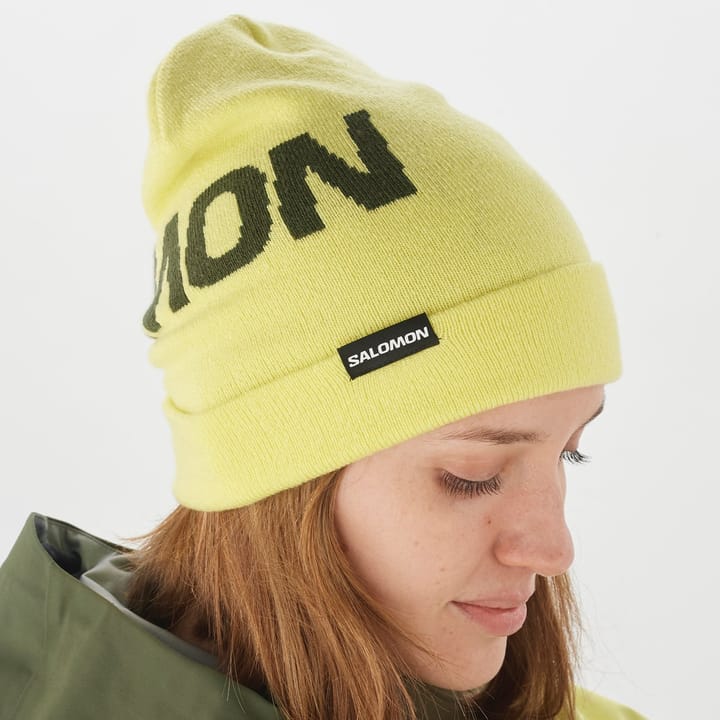 Salomon Hermitage Beanie Charlock/ Salomon