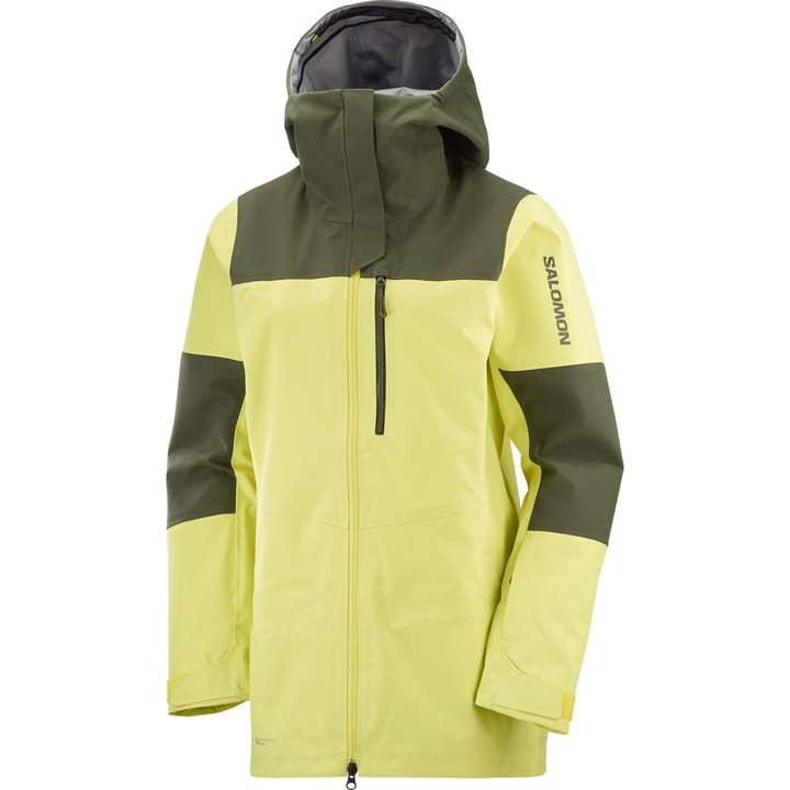 Salomon Stance 3l Jkt W Charlock/Olive Night/ Salomon