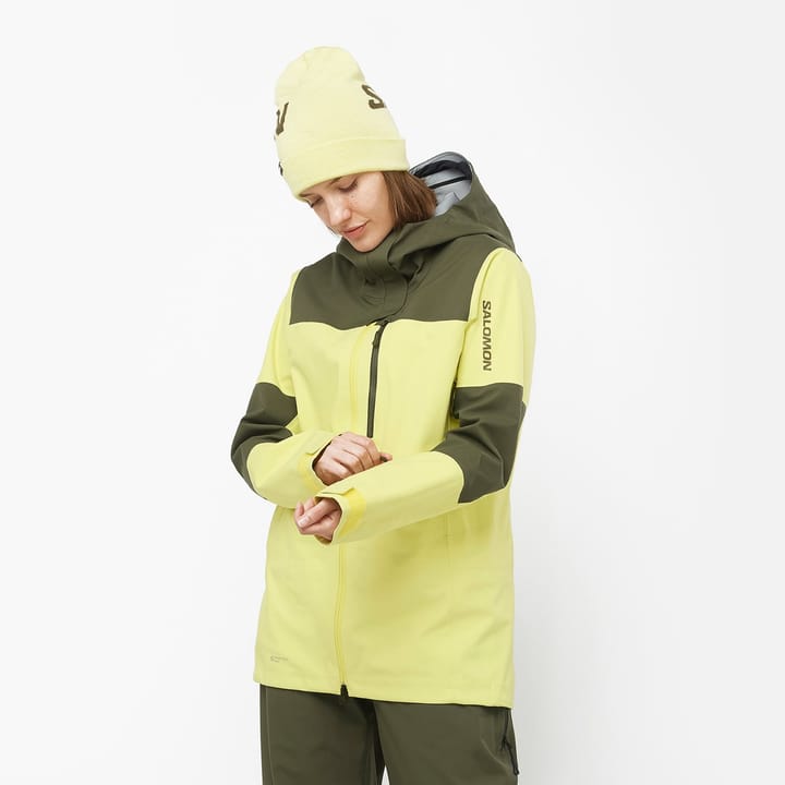 Salomon Stance 3l Jkt W Charlock/Olive Night/ Salomon