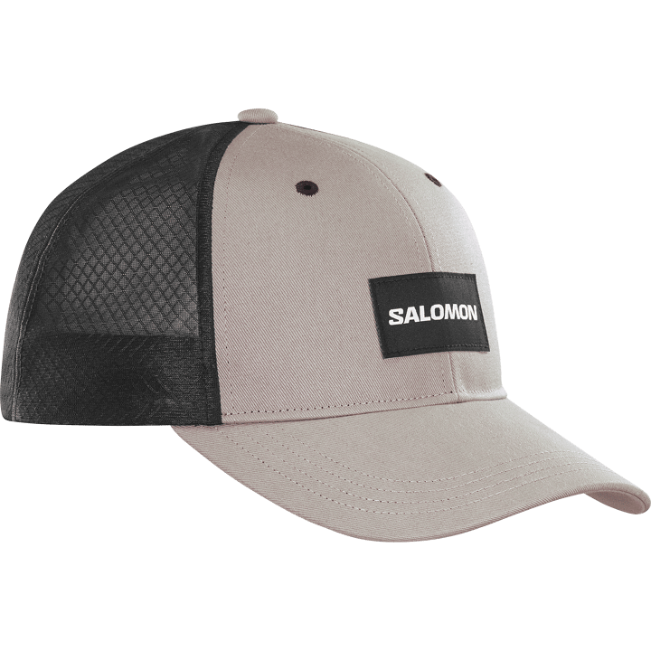 Salomon Trucker Frost Gray/Deep Black Salomon