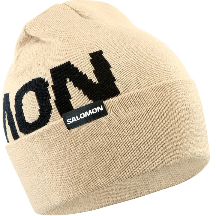 Salomon Hermitage Beanie White Pepper Salomon