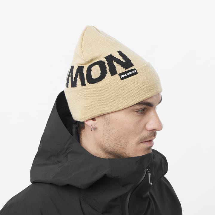 Salomon Hermitage Beanie White Pepper