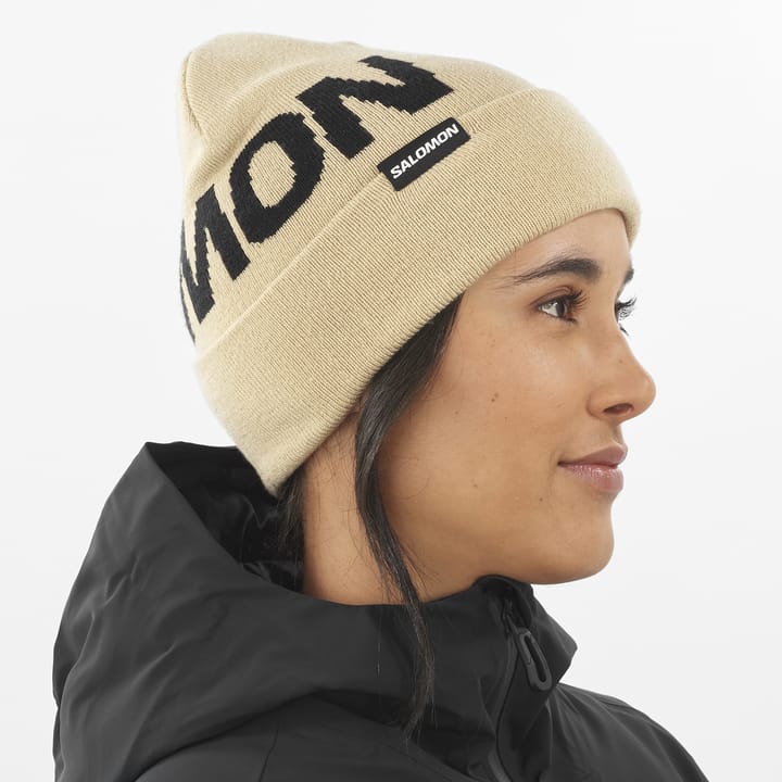 Salomon Hermitage Beanie White Pepper Salomon
