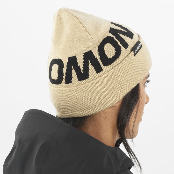 Salomon Hermitage Beanie White Pepper Salomon