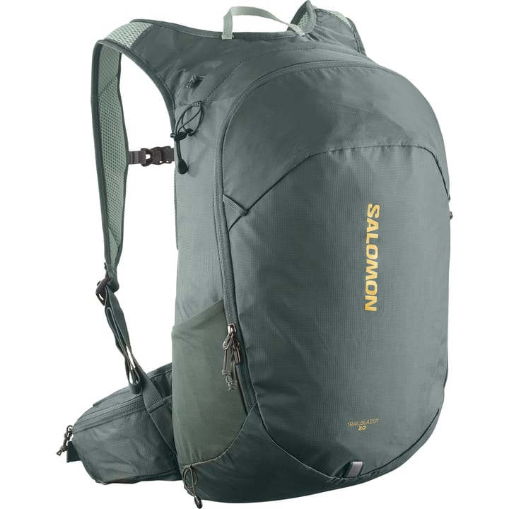Salomon Trailblazer 20 Urban Chic/Green Milieu Salomon