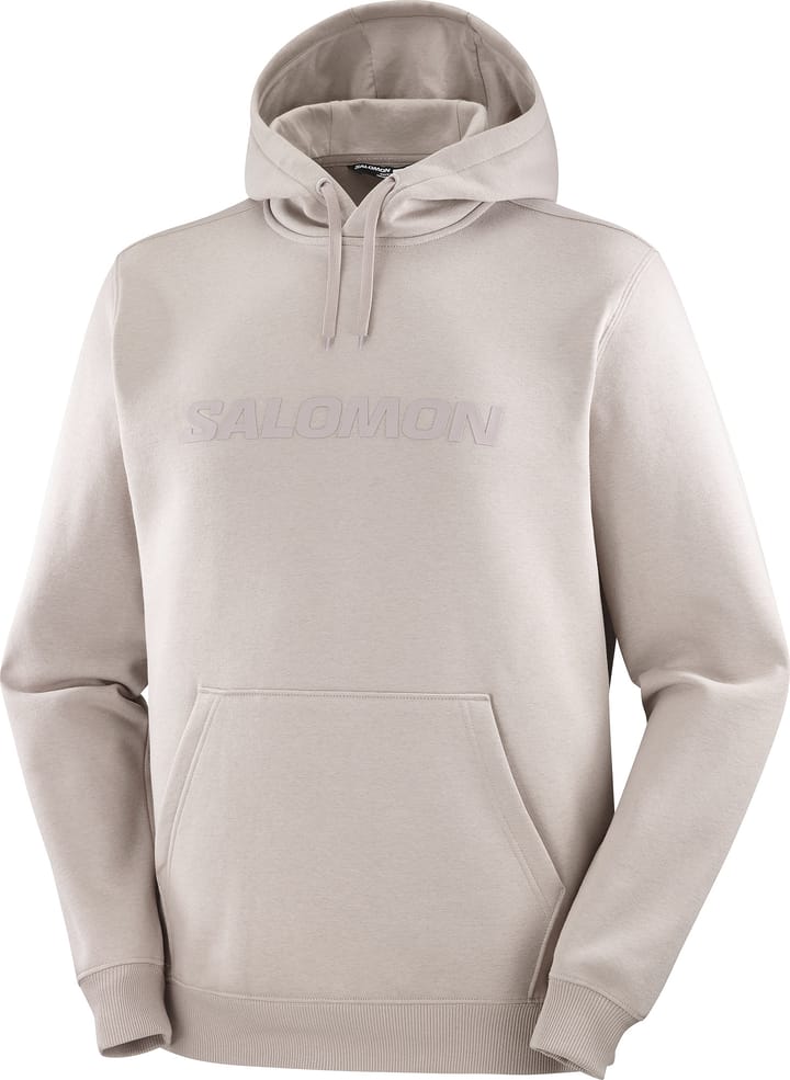 Salomon Men's Big Logo Etherea Salomon
