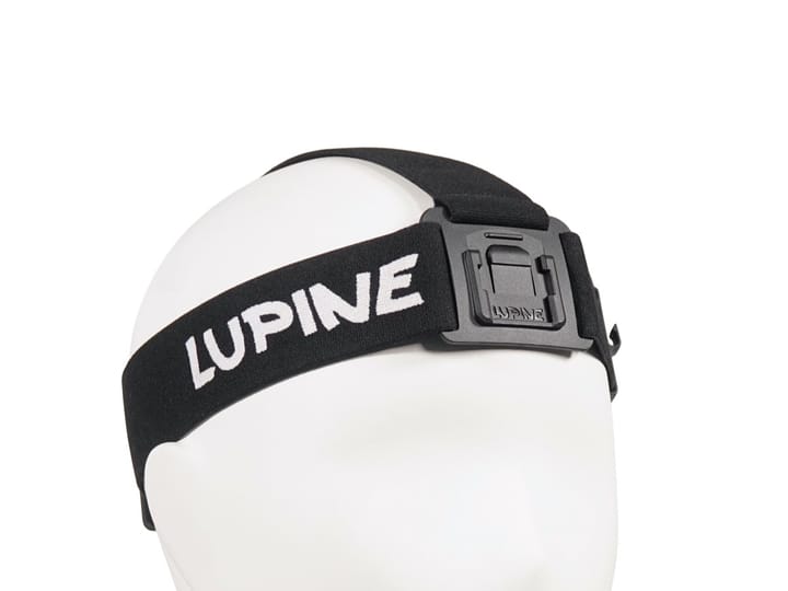 Lupine Headband Frontclick Wilma/Betty Black Lupine