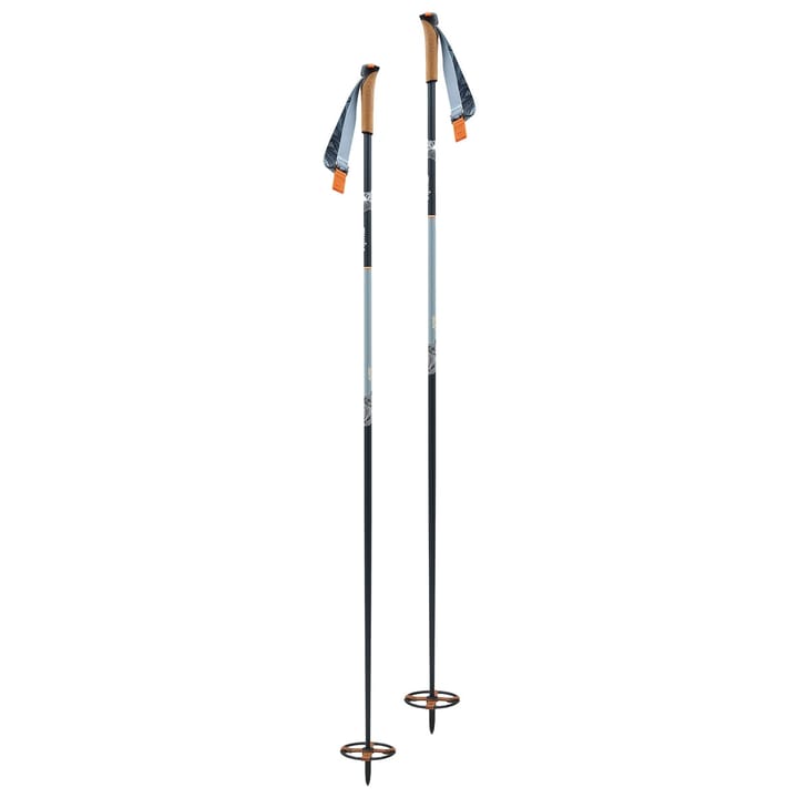 Swix Blizzard Mountain Tourer Nocolor Swix