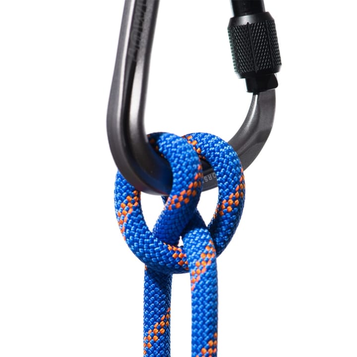 Mammut 9.0 Alpine Sender Dry Rope Dry Standard, 30m Ice-Sunrise Mammut