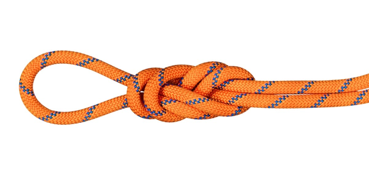 Mammut 9.0 Alpine Sender Dry Rope Dry Standard, 50m Sunrise-Ice