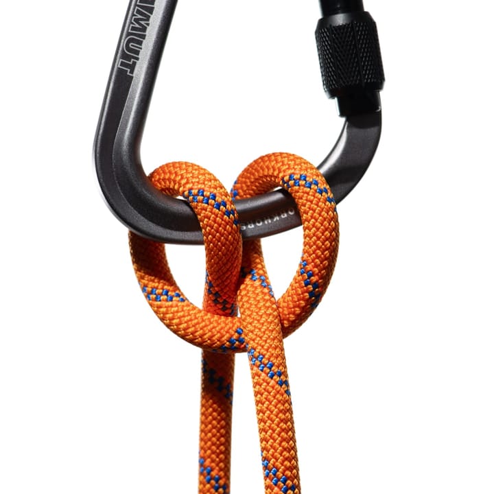 9.0 Alpine Sender Dry Rope Dry Standard, 60m Sunrise-Ice Mammut