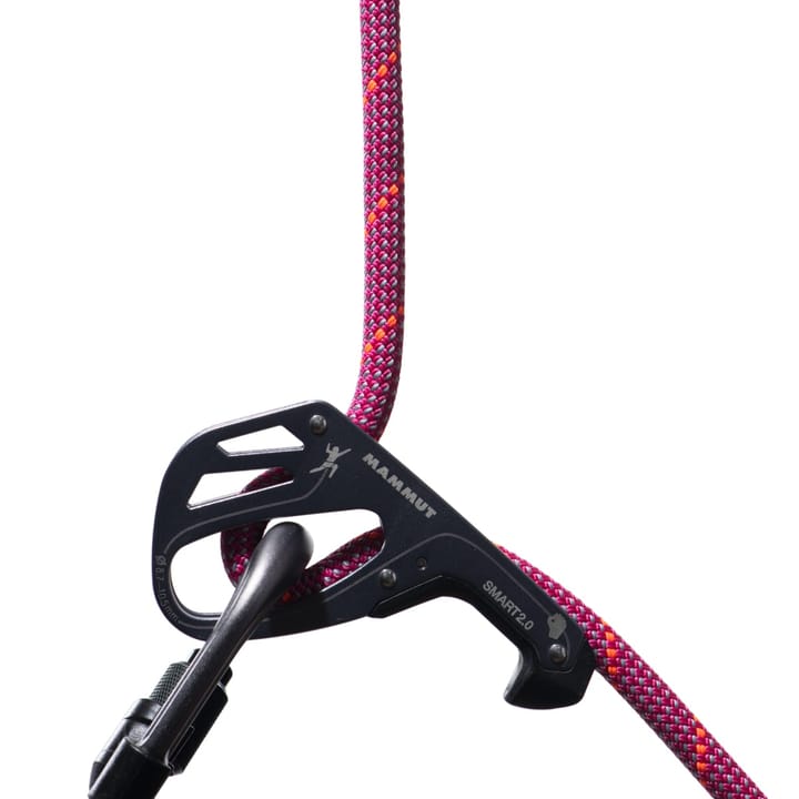 Mammut 9.5 Crag Dry Rope 70 m Pink-Zen Mammut