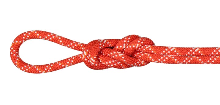 Mammut 9.5 Gym Classic Rope 40 m Raspberry-White Mammut