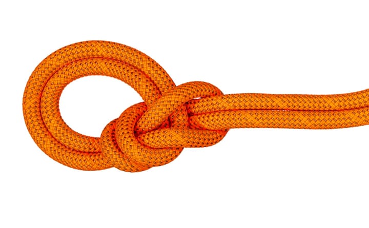 Mammut 9.8 Crag Dry Rope Dry Standard, 60m Safety Orange-Boa Mammut