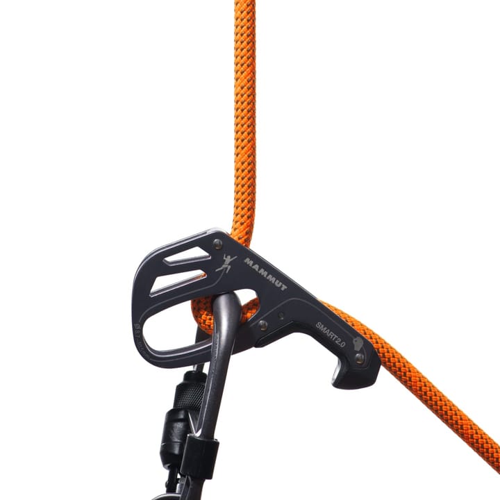 Mammut 9.8 Crag Dry Rope Dry Standard, 60m Safety Orange-Boa Mammut