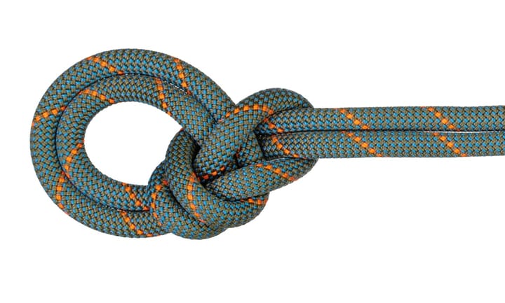 Mammut 9.9 Crag Workhorse Dry Rope Dry Standard, 60m Boa-Ocean Mammut