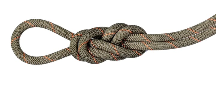 Mammut 9.9 Gym Workhorse Classic Rope 30 m Boa Mammut Mammut 9.9 Gym Workhorse Classic Rope 30 m Boa Mammut