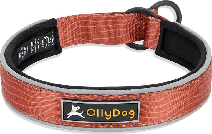 OllyDog Martingale Reflective Comfort Collar Clay OllyDog