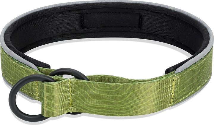 OllyDog Martingale Reflective Comfort Collar Cactus OllyDog