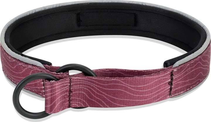 OllyDog Martingale Reflective Comfort Collar Rosewood OllyDog
