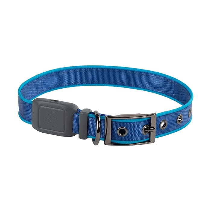 Nite Ize NiteDog™ Rechg LED Collar Lime/Green Nite Ize Nite Ize NiteDog™ Rechg LED Collar Lime/Green Nite Ize