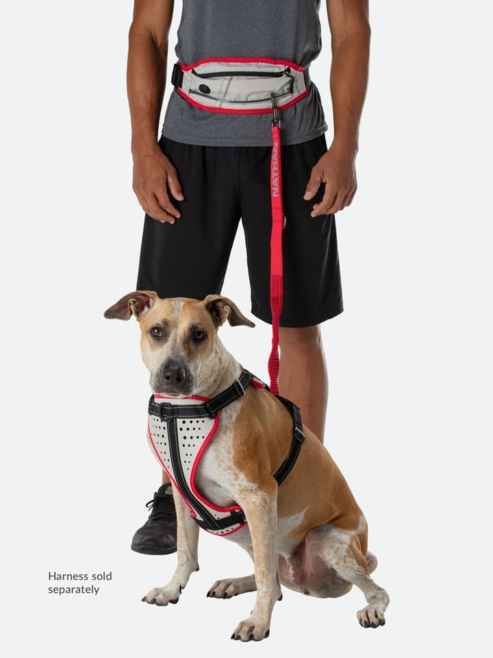 Nathan Run Companion Runner's Waistpack + Leash Vp/Fg/Lp OSFM Nathan