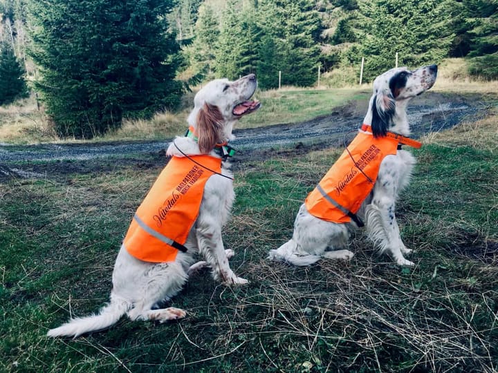 Nitedals Markeringsdekken oransje Nitedals