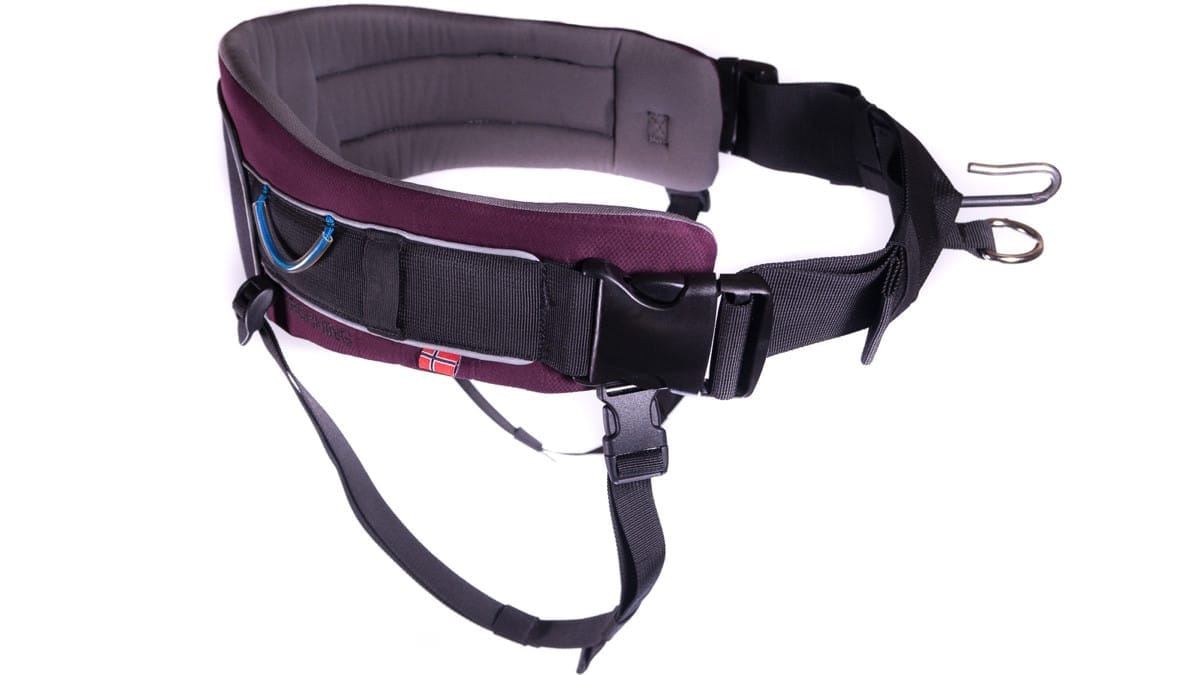 Non-Stop Dogwear Trekking Belt Purple L