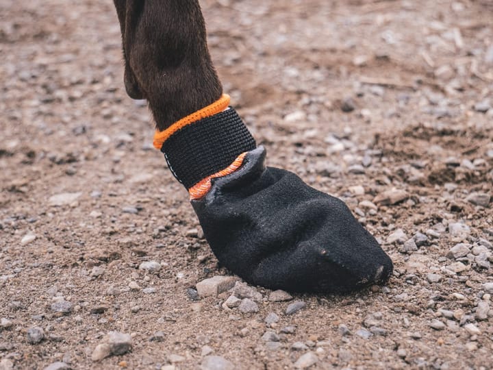 Non-stop Dogwear Protector Bootie 4pk Black Non-stop Dogwear