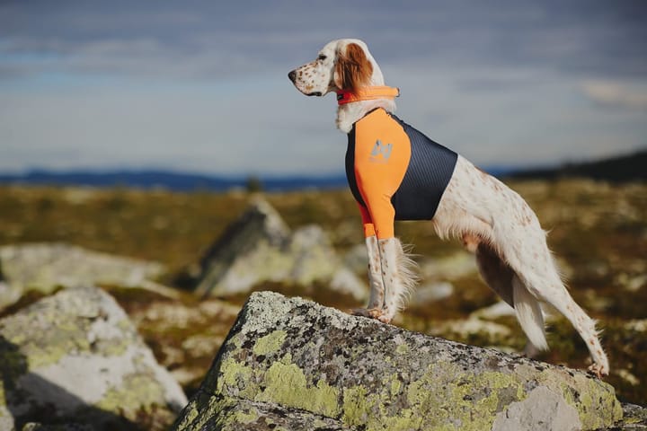 Non-stop Dogwear Protector T-Shirt Orange Non-stop Dogwear Non-stop Dogwear Protector T-Shirt Orange Non-stop Dogwear