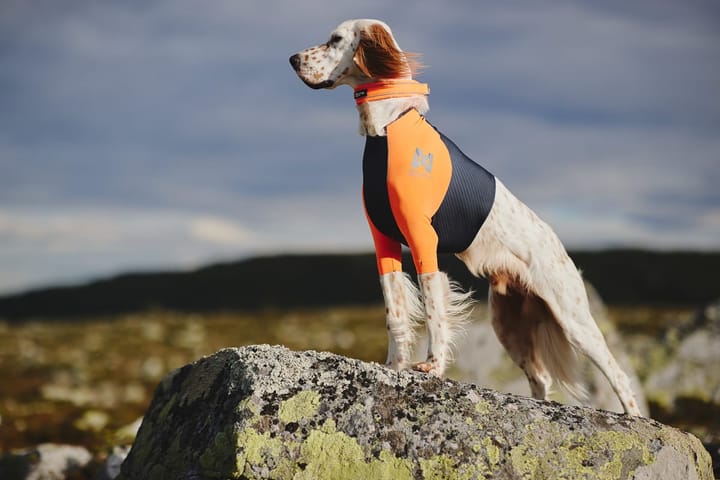Non-stop Dogwear Protector T-Shirt Orange Non-stop Dogwear Non-stop Dogwear Protector T-Shirt Orange Non-stop Dogwear