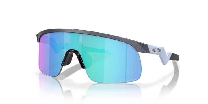 Oakley Resistor Blue Steel/Prizm Sapphire Oakley