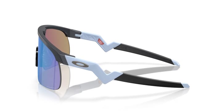 Oakley Resistor Blue Steel/Prizm Sapphire Oakley