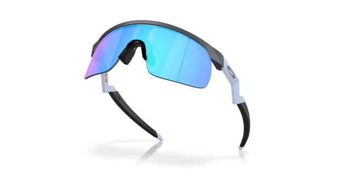 Oakley Resistor Blue Steel/Prizm Sapphire Oakley