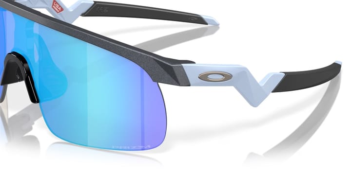 Oakley Resistor Blue Steel/Prizm Sapphire Oakley