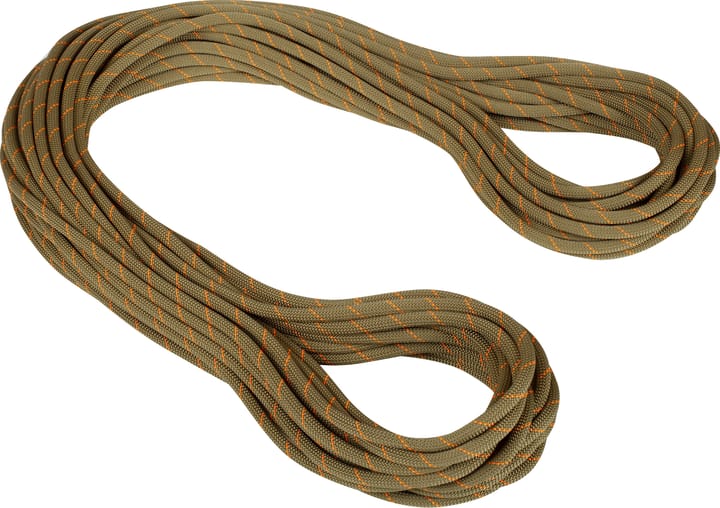 Mammut 9.9 Gym Workhorse Classic Rope Classic 50m Standard/Boa Mammut Mammut 9.9 Gym Workhorse Classic Rope Classic 50m Standard/Boa Mammut
