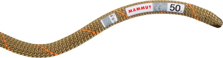Mammut 9.9 Gym Workhorse Classic Rope Classic 50m Standard/Boa Mammut