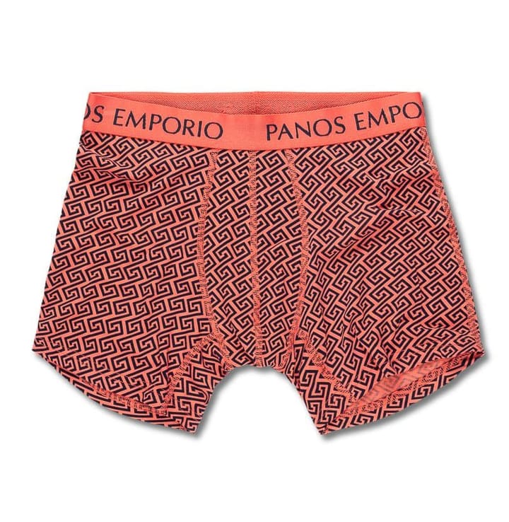 Panos Emporio PE 5PK BAMBOO BOXER SEASONAL LT BLUE/MEANDER NAVY/MEANDER CORAL/CORAL-WHITE/MEANDER CORAL-NAVY Panos Emporio Panos Emporio PE 5PK BAMBOO BOXER SEASONAL LT BLUE/MEANDER NAVY/MEANDER CORAL/CORAL-WHITE/MEANDER CORAL-NAVY Panos Emporio