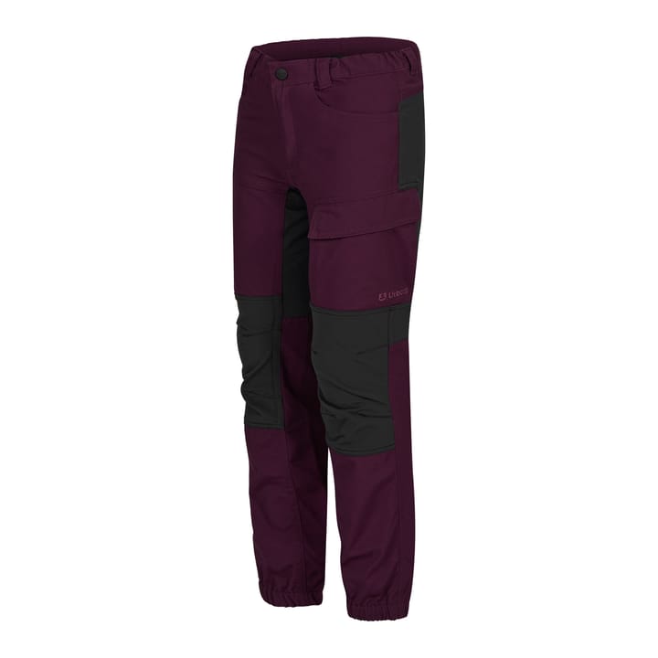 Kids' Bjørndalen 2.0 Hiking Pants Dark Purple Urberg