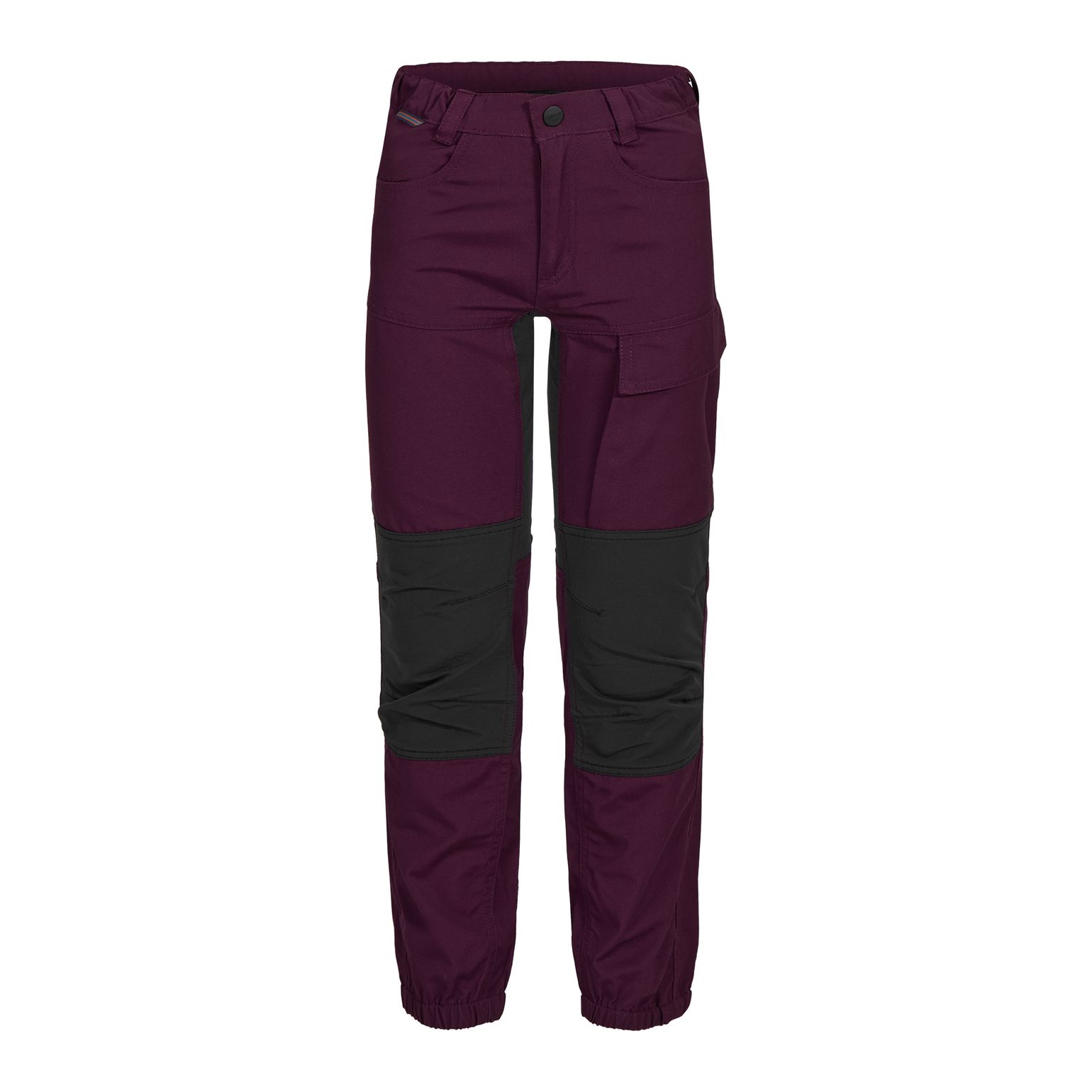 Kids' Bjørndalen 2.0 Hiking Pants Dark Purple