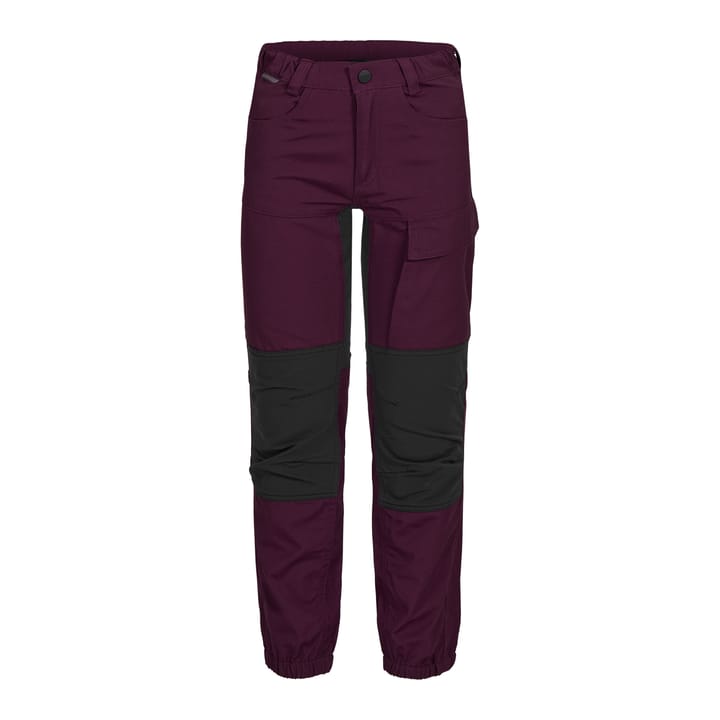 Kids' Bjørndalen 2.0 Hiking Pants Dark Purple Urberg