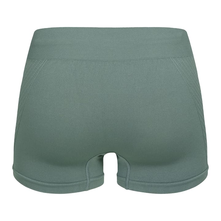 Hellner Seamless Tech Boxer Wmn Laurel Wreath Hellner