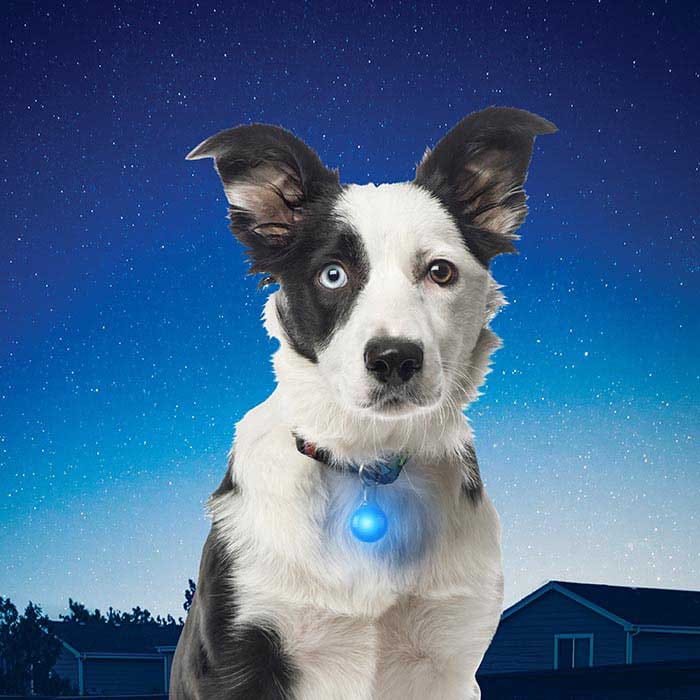 Nite Ize SpotLit® Collar Light White Nite Ize