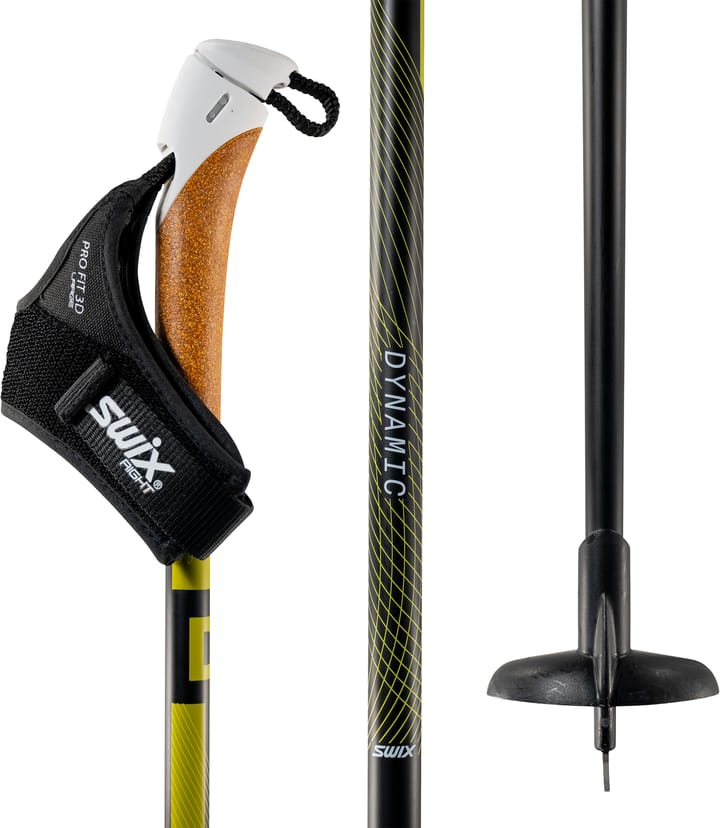 Swix Dynamic D3 Pole, Vasa Nocolour Swix