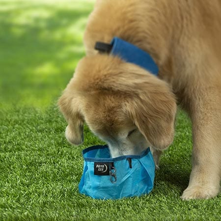 Nite Ize RadDog™ Collapsible Bowl Blue Nite Ize