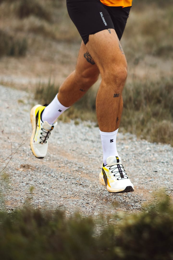 Salomon Men's Sense Ride 5 Vanilla Ice/Sulphur Spring/Black Salomon Salomon Men's Sense Ride 5 Vanilla Ice/Sulphur Spring/Black Salomon