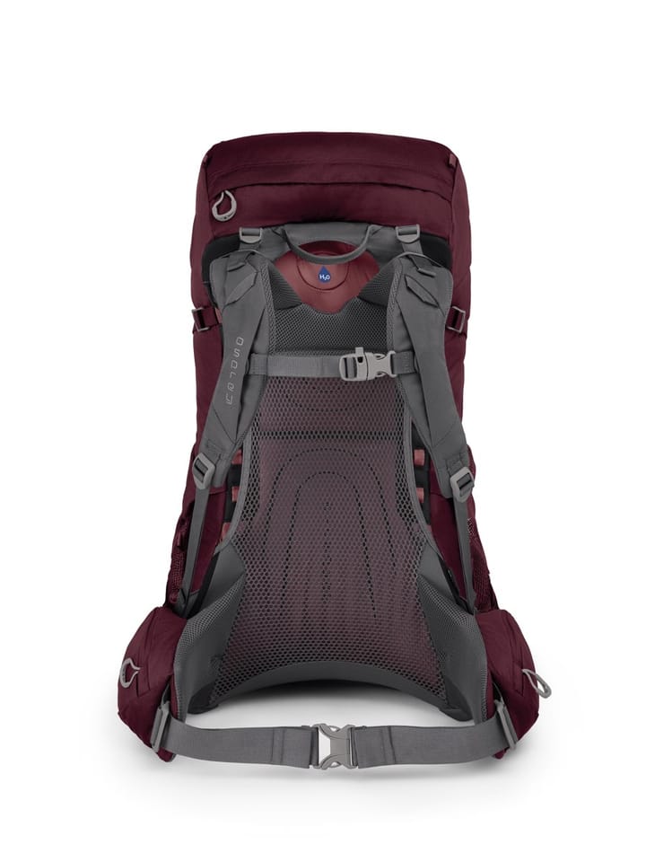 Osprey Renn 50 Aurora Purple Osprey Osprey Renn 50 Aurora Purple Osprey